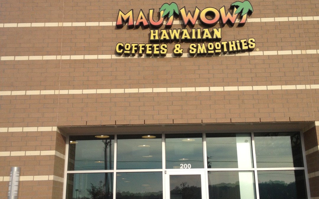 Maui Wowi Offers A Smoothie Franchise For Sale