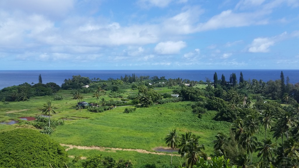Maui- Road to Hana